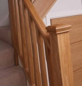 medulary-rays-in-newel