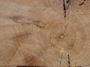 oak colour and grain